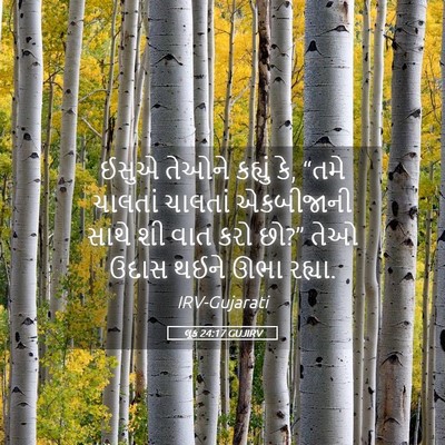 Picture 05 - લૂક 24:17 GUJIRV - ઈસુએ તેઓને કહ્યું - Bible Verse Picture