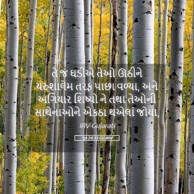 Picture 05 - લૂક 24:33 GUJIRV - તે જ ઘડીએ તેઓ ઊઠીને - Bible Verse Picture