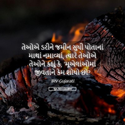 Picture 05 - લૂક 24:5 GUJIRV - તેઓએ ડરીને જમીન - Bible Verse Picture