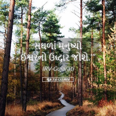 Picture 05 - લૂક 3:6 GUJIRV - સઘળાં મનુષ્યો - Bible Verse Picture