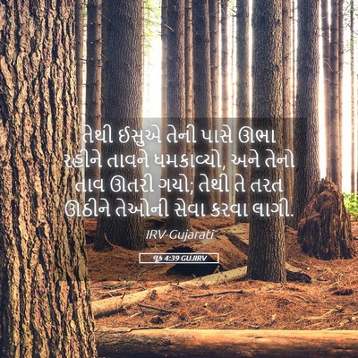 Picture 05 - લૂક 4:39 GUJIRV - તેથી ઈસુએ તેની - Bible Verse Picture