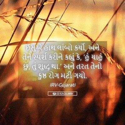 Picture 05 - લૂક 5:13 GUJIRV - ઈસુએ હાથ લાંબો - Bible Verse Picture