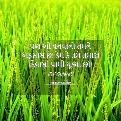 Picture 05 - લૂક 6:24 GUJIRV - પણ ઓ ધનવાનો તમને - Bible Verse Picture
