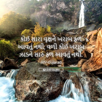 Picture 05 - લૂક 6:43 GUJIRV - કોઈ સારા વૃક્ષને - Bible Verse Picture