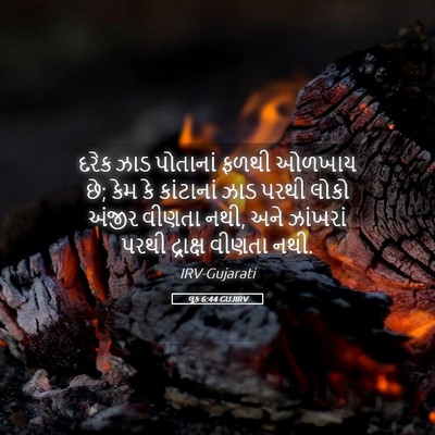 Picture 05 - લૂક 6:44 GUJIRV - દરેક ઝાડ પોતાનાં - Bible Verse Picture