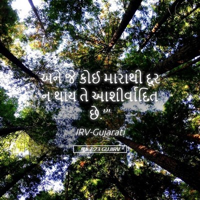Picture 05 - લૂક 7:23 GUJIRV - અને જે કોઈ મારાથી - Bible Verse Picture