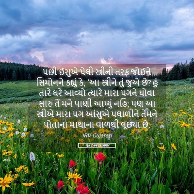 Picture 05 - લૂક 7:44 GUJIRV - પછી ઈસુએ પેલી - Bible Verse Picture