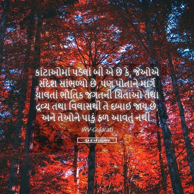 Picture 05 - લૂક 8:14 GUJIRV - કાંટાઓમાં પડેલાં - Bible Verse Picture