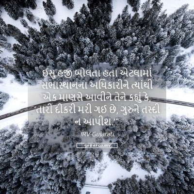 Picture 05 - લૂક 8:49 GUJIRV - ઈસુ હજી બોલતા હતા - Bible Verse Picture