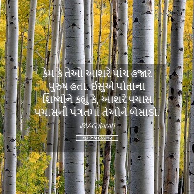 Picture 05 - લૂક 9:14 GUJIRV - કેમ કે તેઓ આશરે - Bible Verse Picture