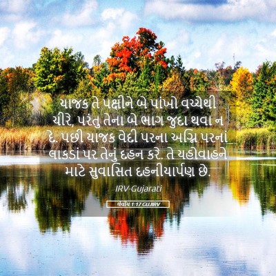 Picture 05 - લેવીય 1:17 GUJIRV - યાજક તે પક્ષીને બે - Bible Verse Picture