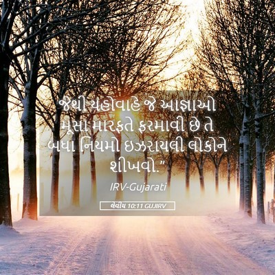 Picture 05 - લેવીય 10:11 GUJIRV - જેથી યહોવાહે જે - Bible Verse Picture