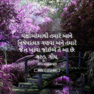 Picture 05 - લેવીય 11:13 GUJIRV - પક્ષીઓમાંથી તમારે - Bible Verse Picture