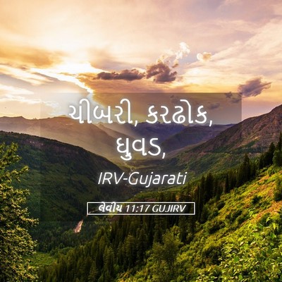 Picture 05 - લેવીય 11:17 GUJIRV - ચીબરી, કરઢોક, - Bible Verse Picture