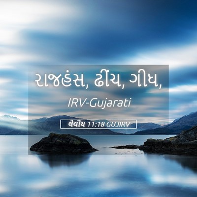Picture 05 - લેવીય 11:18 GUJIRV - રાજહંસ, ઢીંચ, - Bible Verse Picture