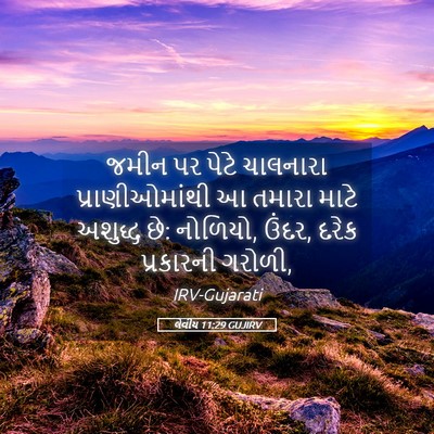 Picture 05 - લેવીય 11:29 GUJIRV - જમીન પર પેટે - Bible Verse Picture