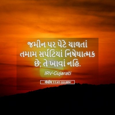 Picture 05 - લેવીય 11:41 GUJIRV - જમીન પર પેટે - Bible Verse Picture