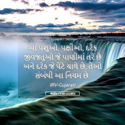 Picture 05 - લેવીય 11:46 GUJIRV - આ પશુઓ, પક્ષીઓ, - Bible Verse Picture
