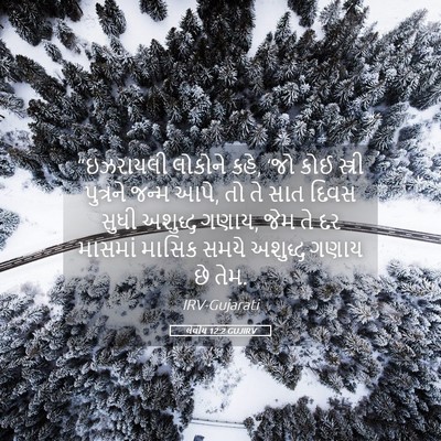 Picture 05 - લેવીય 12:2 GUJIRV - “ઇઝરાયલી લોકોને - Bible Verse Picture