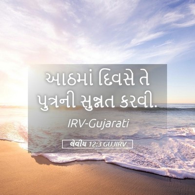 Picture 05 - લેવીય 12:3 GUJIRV - આઠમાં દિવસે તે - Bible Verse Picture