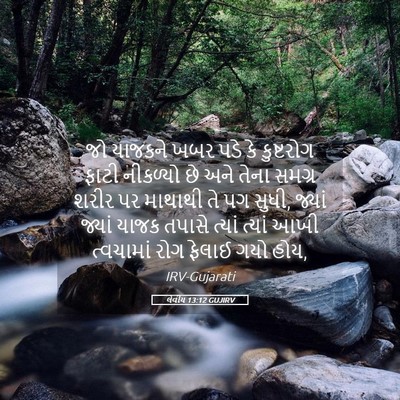Picture 05 - લેવીય 13:12 GUJIRV - જો યાજકને ખબર પડે - Bible Verse Picture