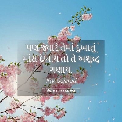 Picture 05 - લેવીય 13:14 GUJIRV - પણ જ્યારે તેમાં - Bible Verse Picture