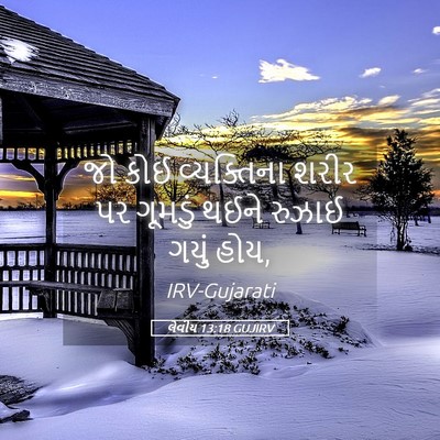 Picture 05 - લેવીય 13:18 GUJIRV - જો કોઈ વ્યક્તિના - Bible Verse Picture