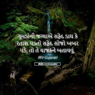 Picture 05 - લેવીય 13:19 GUJIRV - ગૂમડાંની જગ્યાએ - Bible Verse Picture