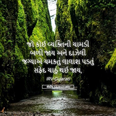 Picture 05 - લેવીય 13:24 GUJIRV - જો કોઈ વ્યક્તિની - Bible Verse Picture
