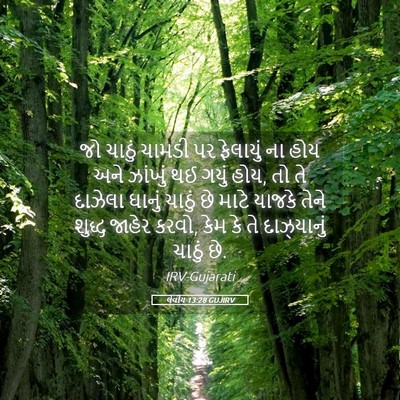 Picture 05 - લેવીય 13:28 GUJIRV - જો ચાઠું ચામડી પર - Bible Verse Picture