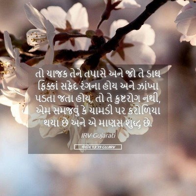 Picture 05 - લેવીય 13:39 GUJIRV - તો યાજક તેને તપાસે - Bible Verse Picture