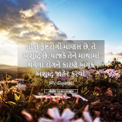 Picture 05 - લેવીય 13:44 GUJIRV - તો તે કુષ્ટરોગી - Bible Verse Picture