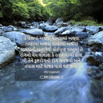 Picture 05 - લેવીય 13:49 GUJIRV - તે વસ્ત્રમાં અથવા - Bible Verse Picture