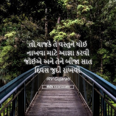 Picture 05 - લેવીય 13:54 GUJIRV - તો યાજકે તે - Bible Verse Picture