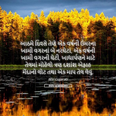 Picture 05 - લેવીય 14:10 GUJIRV - આઠમે દિવસે તેણે એક - Bible Verse Picture