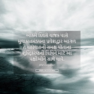 Picture 05 - લેવીય 14:23 GUJIRV - આઠમે દિવસે યાજક - Bible Verse Picture