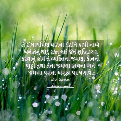Picture 05 - લેવીય 14:25 GUJIRV - તે દોષાર્થાર્પણ - Bible Verse Picture