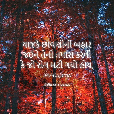 Picture 05 - લેવીય 14:3 GUJIRV - યાજકે છાવણીની - Bible Verse Picture