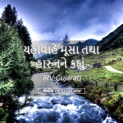 Picture 05 - લેવીય 14:33 GUJIRV - યહોવાહે મૂસા તથા - Bible Verse Picture