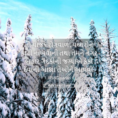 Picture 05 - લેવીય 14:40 GUJIRV - તો યાજકે રોગવાળા - Bible Verse Picture