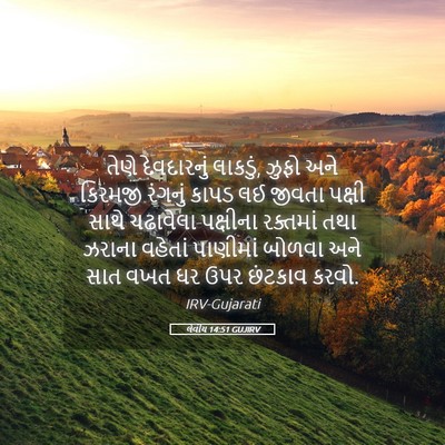 Picture 05 - લેવીય 14:51 GUJIRV - તેણે દેવદારનું - Bible Verse Picture