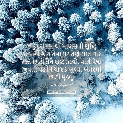 Picture 05 - લેવીય 14:7 GUJIRV - જે કુષ્ટરોગમાંથી - Bible Verse Picture
