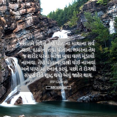 Picture 05 - લેવીય 14:9 GUJIRV - સાતમે દિવસે તેણે - Bible Verse Picture