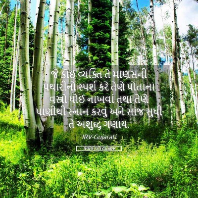 Picture 05 - લેવીય 15:5 GUJIRV - જે કોઈ વ્યક્તિ તે - Bible Verse Picture