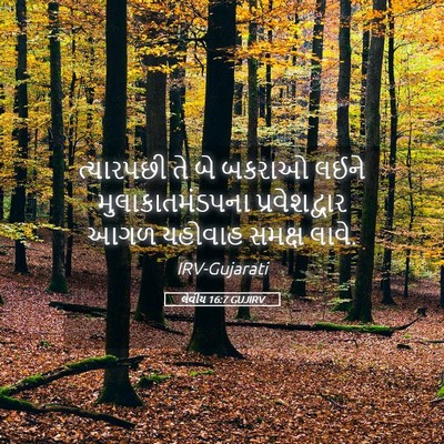Picture 05 - લેવીય 16:7 GUJIRV - ત્યારપછી તે બે - Bible Verse Picture