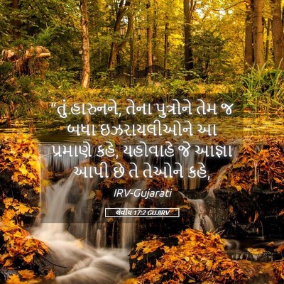 Picture 05 - લેવીય 17:2 GUJIRV - “તું હારુનને, તેના - Bible Verse Picture