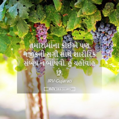 Picture 05 - લેવીય 18:6 GUJIRV - તમારામાંના કોઈએ - Bible Verse Picture