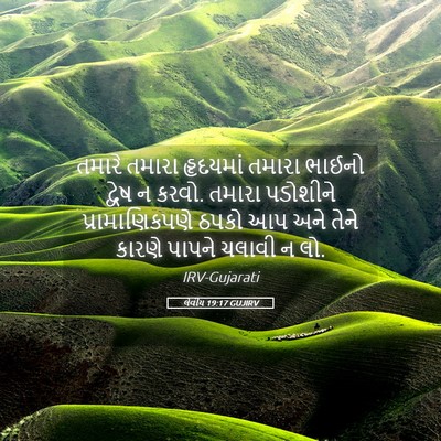 Picture 05 - લેવીય 19:17 GUJIRV - તમારે તમારા - Bible Verse Picture