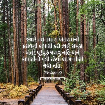 Picture 05 - લેવીય 19:9 GUJIRV - જ્યારે તમે તમારા - Bible Verse Picture
