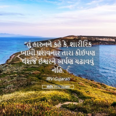 Picture 05 - લેવીય 21:17 GUJIRV - “તું હારુનને કહે - Bible Verse Picture